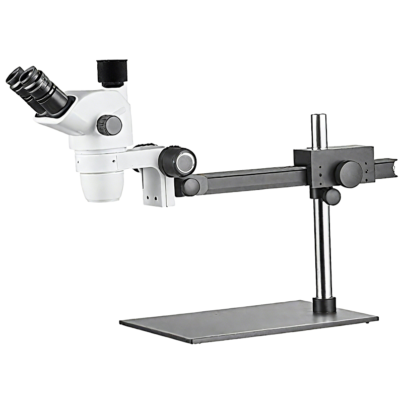 Versatile Trinocular Microscope with 10X Eyepieces and Holder